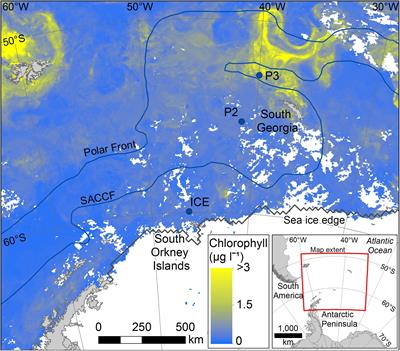 Mesozooplankton Community Composition Controls Fecal Pellet Flux and Remineralization Depth in the Southern Ocean